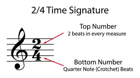 in a musical time signature, what does the upper number indicate?: In a symphony orchestra rehearsal, the conductor's position is not only crucial for timing but also for conveying the emotional essence of each piece through subtle gestures and eye contact.